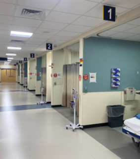 Hospital corridor with numbered patient cubicles along one side. Each cubicle has curtains, medical equipment, and a trash can, creating a sterile and orderly atmosphere.
