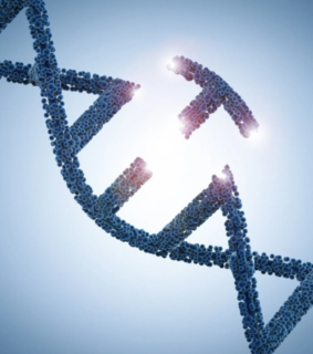 A digitally rendered DNA strand with a missing section, emitting a bright light. The image suggests genetic editing or scientific innovation.